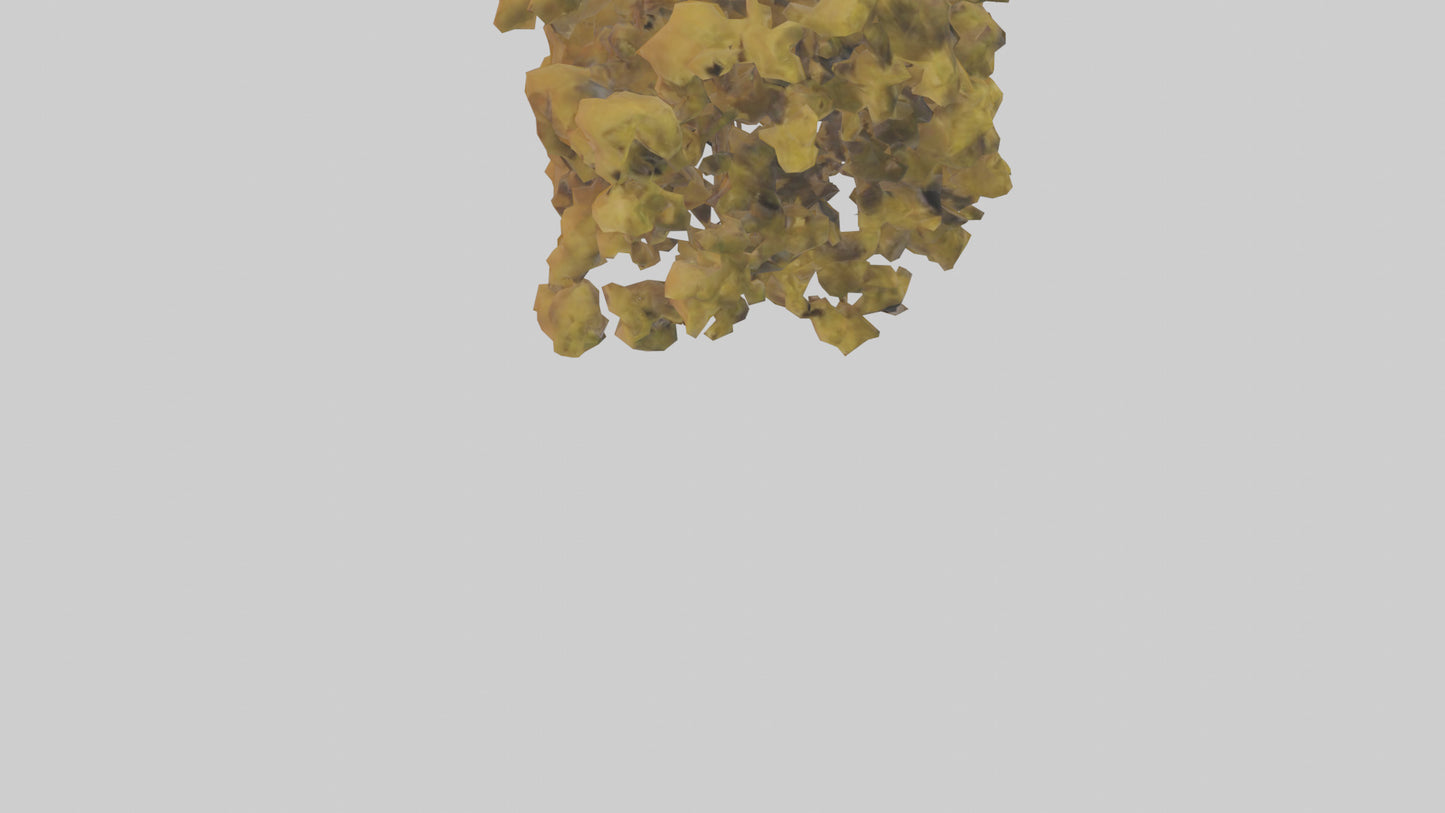 3D model Honey locust tree model VR / AR / low-poly