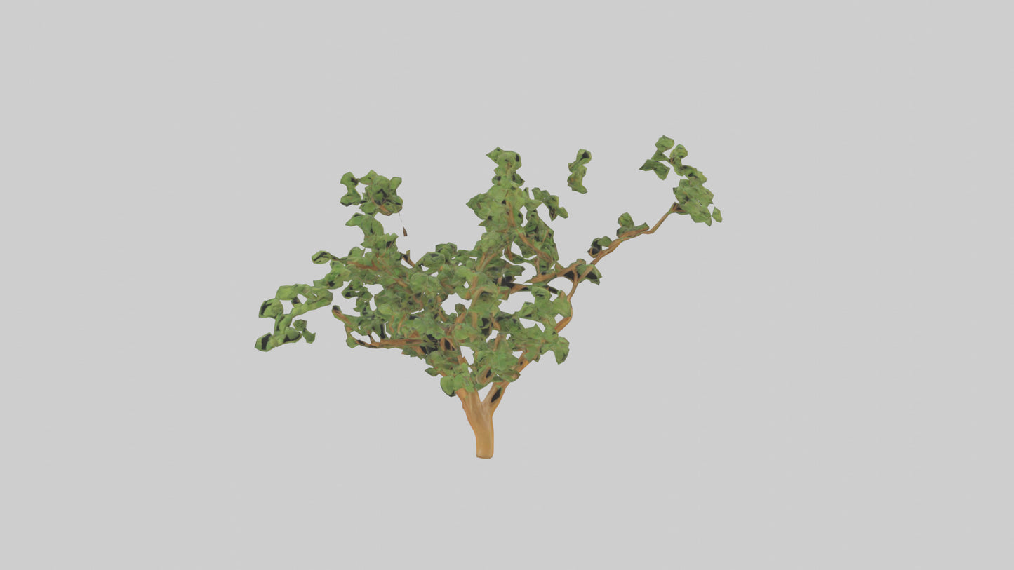 Honey Locust tree model VR / AR / low-poly