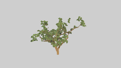 Honey Locust tree model VR / AR / low-poly