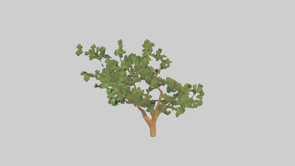 Honey Locust tree model VR / AR / low-poly
