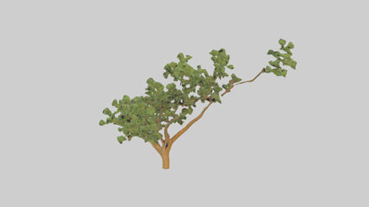 Honey Locust tree model VR / AR / low-poly