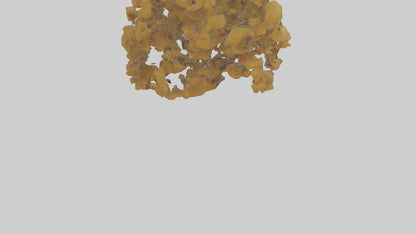 3D model Honey locust tree model VR / AR / low-poly