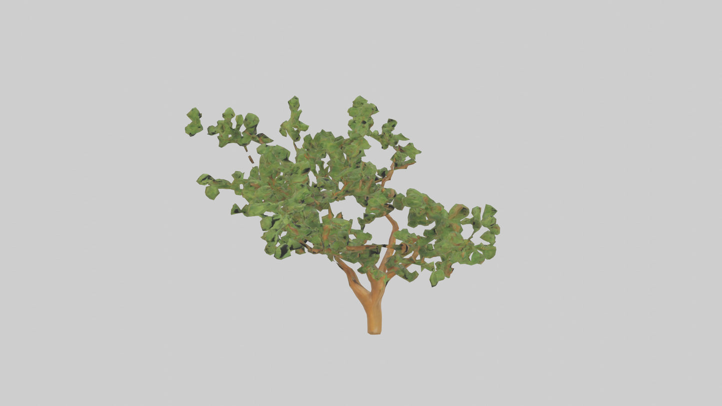 Honey Locust tree model VR / AR / low-poly