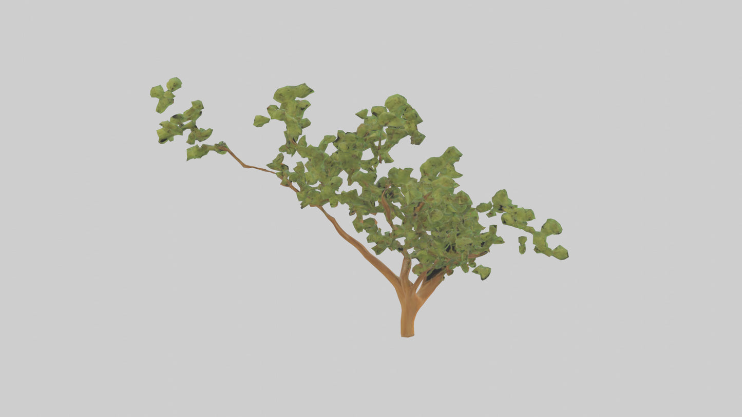 Honey Locust tree model VR / AR / low-poly