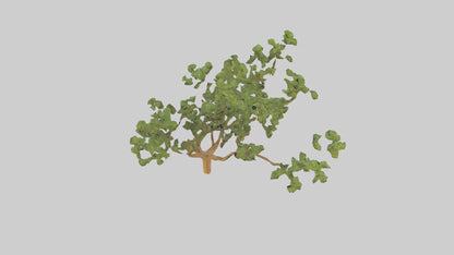 Honey Locust tree model VR / AR / low-poly