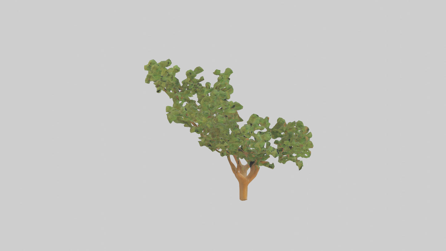 Honey Locust tree model VR / AR / low-poly