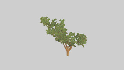 Honey Locust tree model VR / AR / low-poly