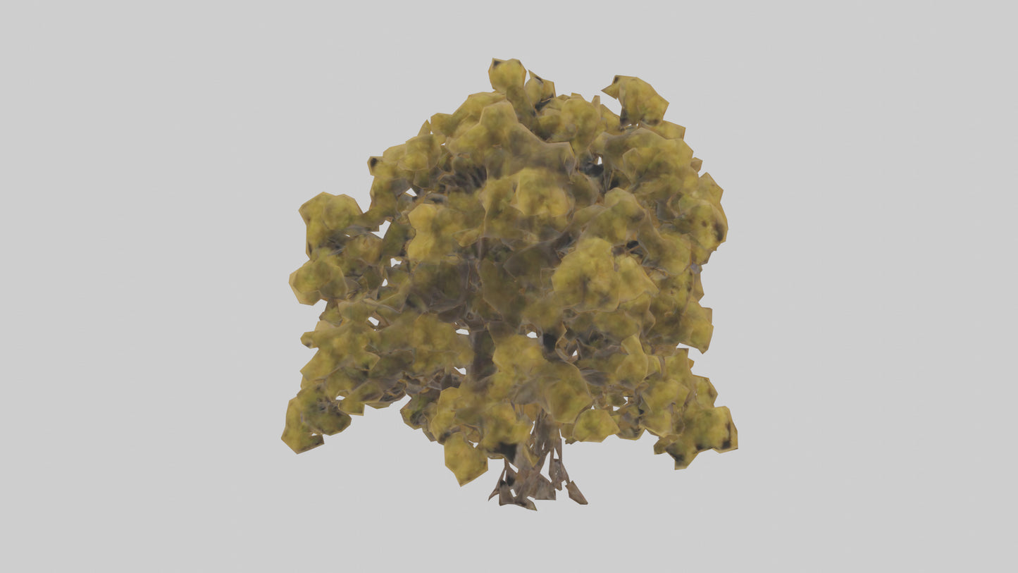 3D model Honey locust tree model VR / AR / low-poly
