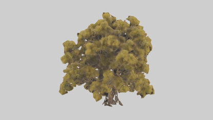 3D model Honey locust tree model VR / AR / low-poly