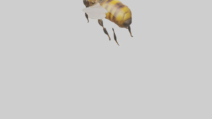 3D model Honeybee flying model VR / AR / low-poly