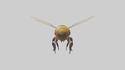 3D model Honeybee flying model VR / AR / low-poly