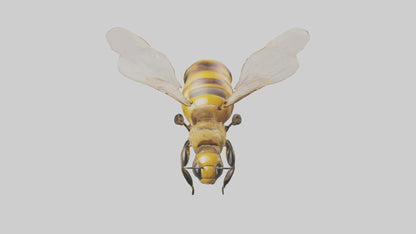 3D model Honeybee flying model VR / AR / low-poly