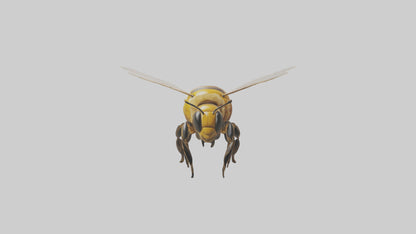 3D model Honeybee flying model VR / AR / low-poly