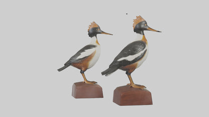 3D model Hooded Merganser statue model VR / AR / low-poly