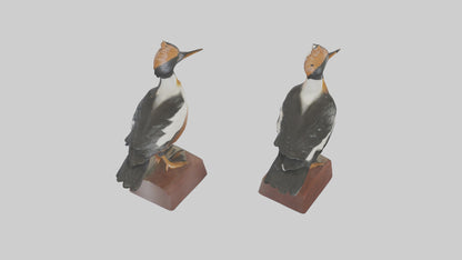 3D model Hooded Merganser statue model VR / AR / low-poly
