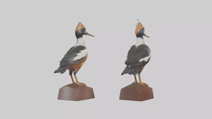 3D model Hooded Merganser statue model VR / AR / low-poly