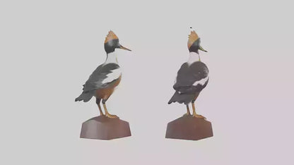 3D model Hooded Merganser statue model VR / AR / low-poly