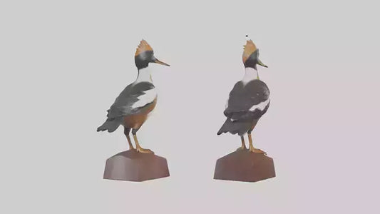 3D model Hooded Merganser statue model VR / AR / low-poly