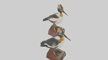 3D model Hooded Merganser statue model VR / AR / low-poly