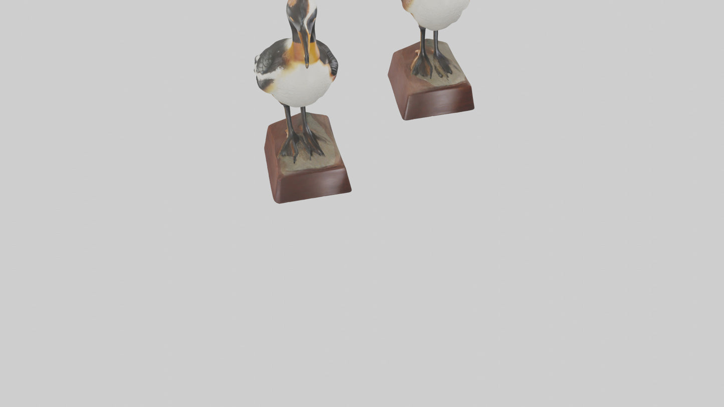 3D model Hooded Merganser statue model VR / AR / low-poly
