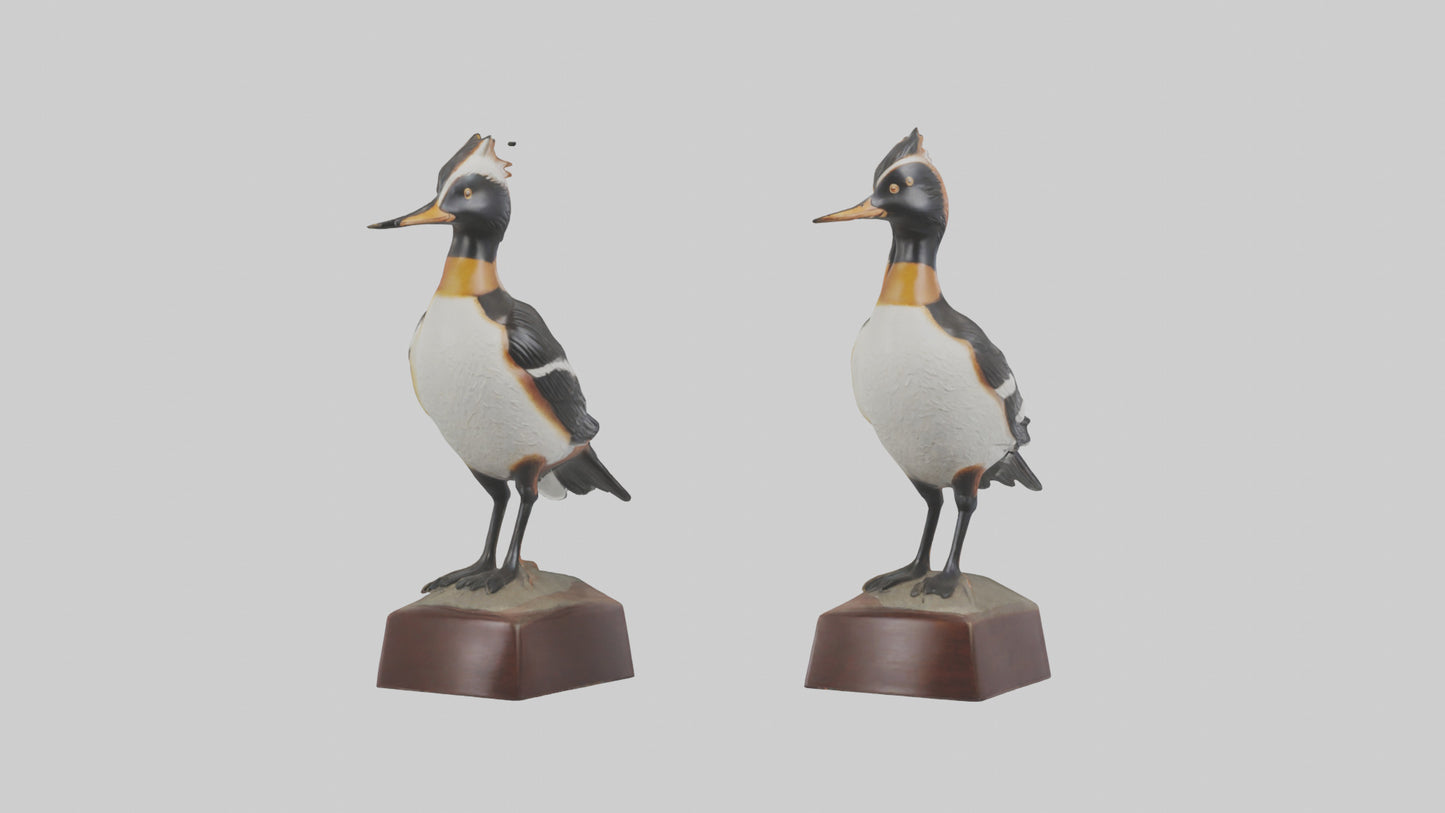 3D model Hooded Merganser statue model VR / AR / low-poly
