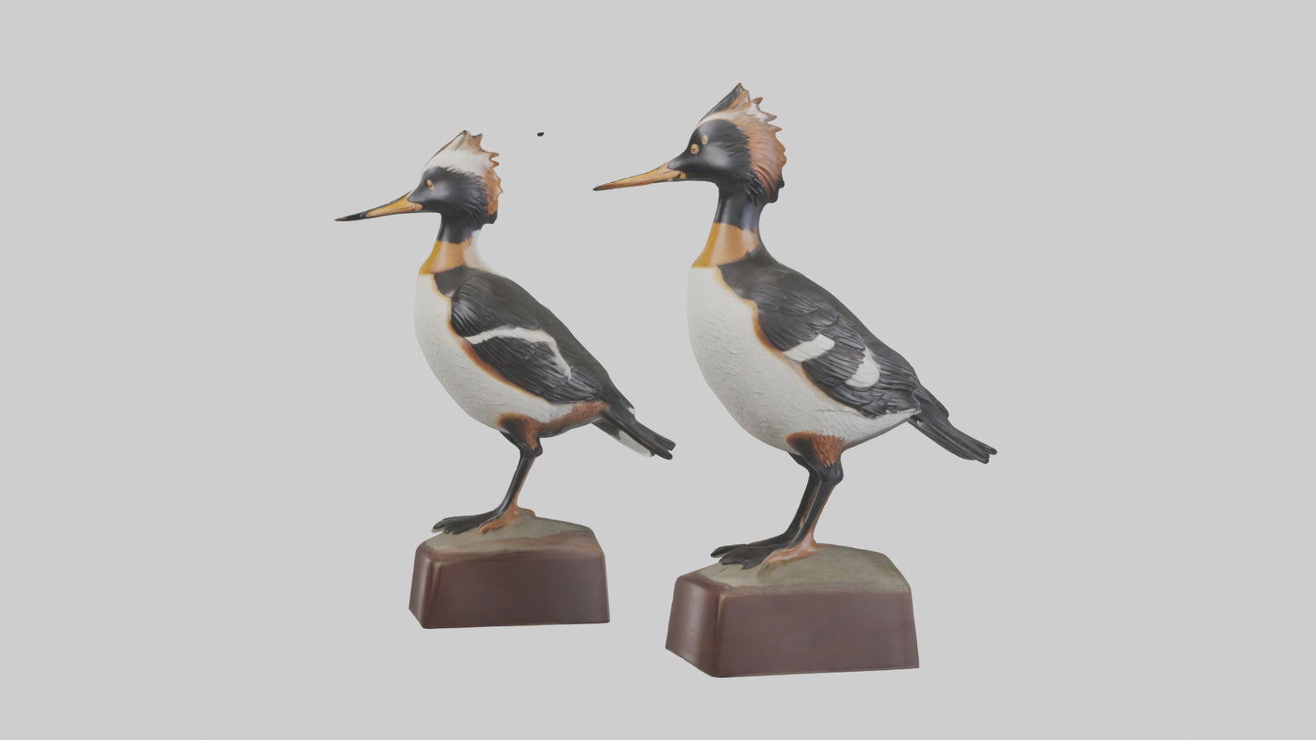 3D model Hooded Merganser statue model VR / AR / low-poly