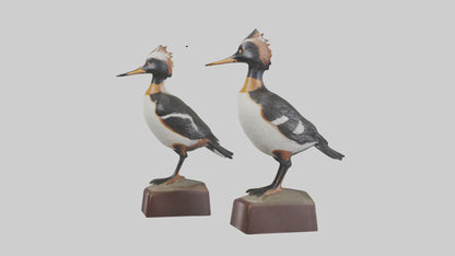 3D model Hooded Merganser statue model VR / AR / low-poly