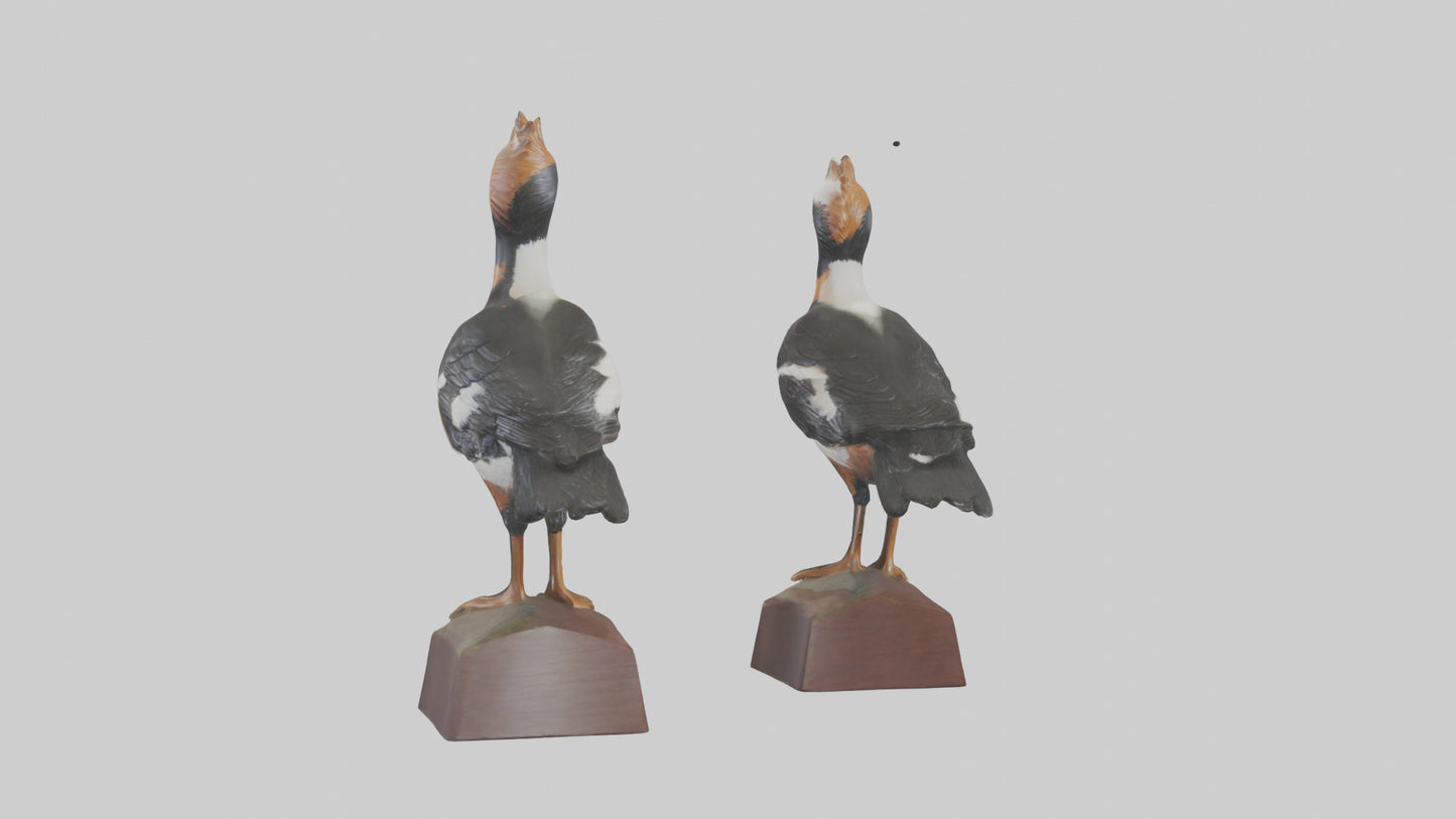 3D model Hooded Merganser statue model VR / AR / low-poly