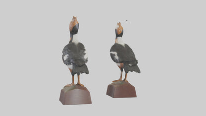 3D model Hooded Merganser statue model VR / AR / low-poly