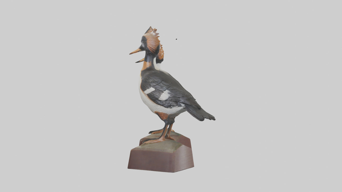 3D model Hooded Merganser statue model VR / AR / low-poly