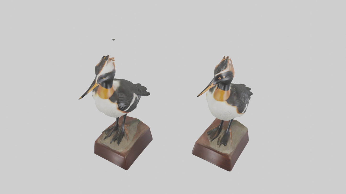 3D model Hooded Merganser statue model VR / AR / low-poly