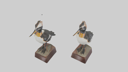 3D model Hooded Merganser statue model VR / AR / low-poly