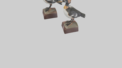 3D model Hooded Merganser statue model VR / AR / low-poly