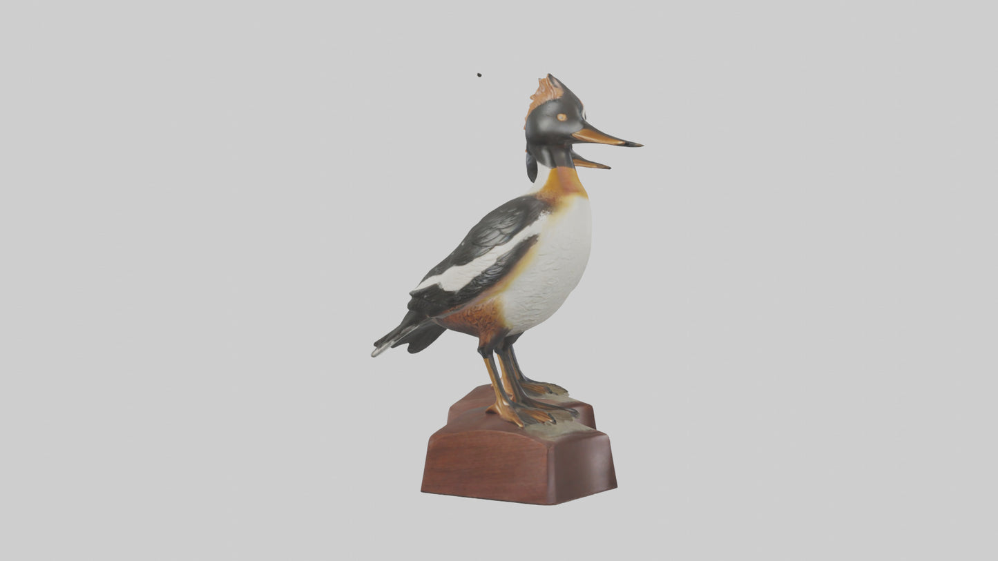 3D model Hooded Merganser statue model VR / AR / low-poly