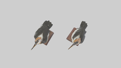 3D model Hooded Merganser statue model VR / AR / low-poly