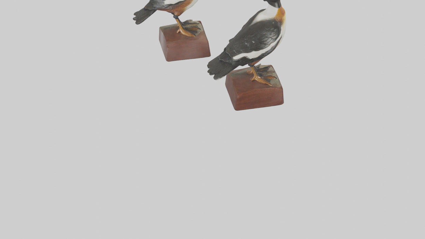 3D model Hooded Merganser statue model VR / AR / low-poly