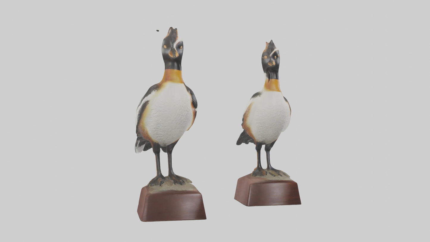 3D model Hooded Merganser statue model VR / AR / low-poly
