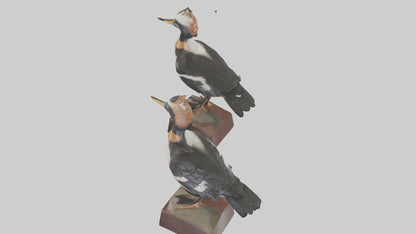 3D model Hooded Merganser statue model VR / AR / low-poly