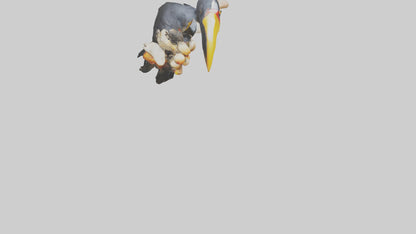 3D model Hornbill bird feeding model VR / AR / low-poly