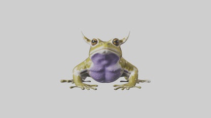 Horned Frog sitting model VR / AR / low-poly