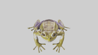 Horned Frog sitting model VR / AR / low-poly