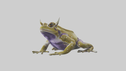 Horned Frog sitting model VR / AR / low-poly