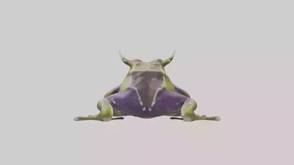 Horned Frog sitting model VR / AR / low-poly