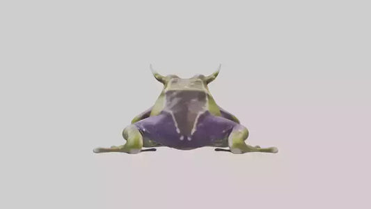 Horned Frog sitting model VR / AR / low-poly