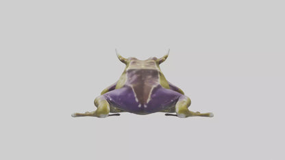 Horned Frog sitting model VR / AR / low-poly