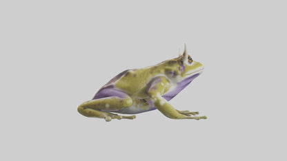 Horned Frog sitting model VR / AR / low-poly