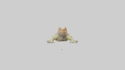 Horned Lizard basking model VR / AR / low-poly