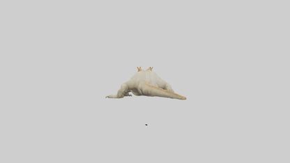 Horned Lizard basking model VR / AR / low-poly