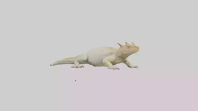 Horned Lizard basking model VR / AR / low-poly
