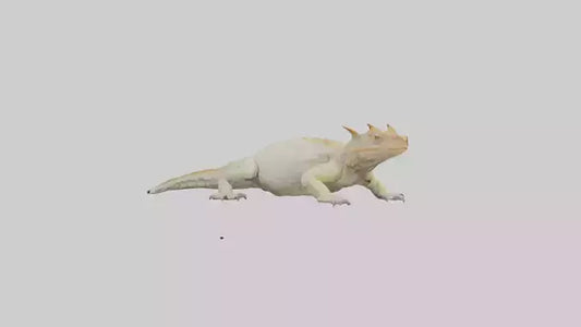 Horned Lizard basking model VR / AR / low-poly